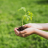 Certificação Ambiental ISO 14001: Impactos e Vantagens para as Empresas