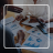 Implantação de Sistema de Gestão da Qualidade ISO 9001